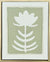 Block Print Botanical in Olive II