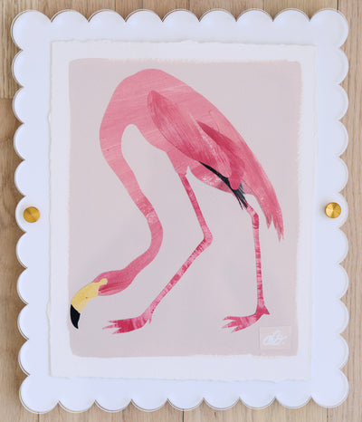 American Flamingo on Pink