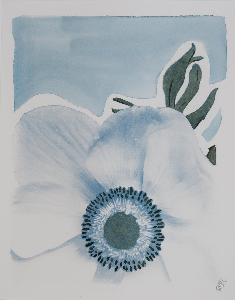 Anemone in Mist Blue