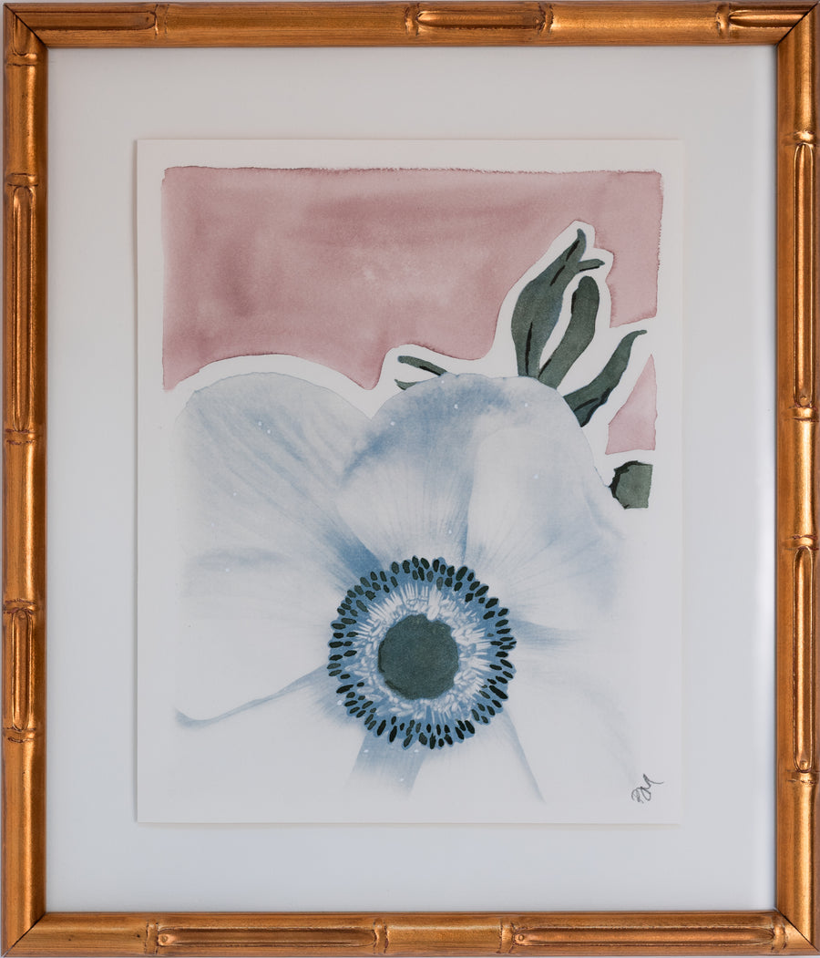 Anemone in Petal Mauve