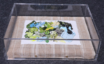 Beneath the Green Canopy Palette