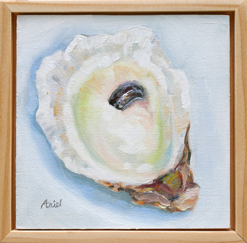 Bitty Oyster #2