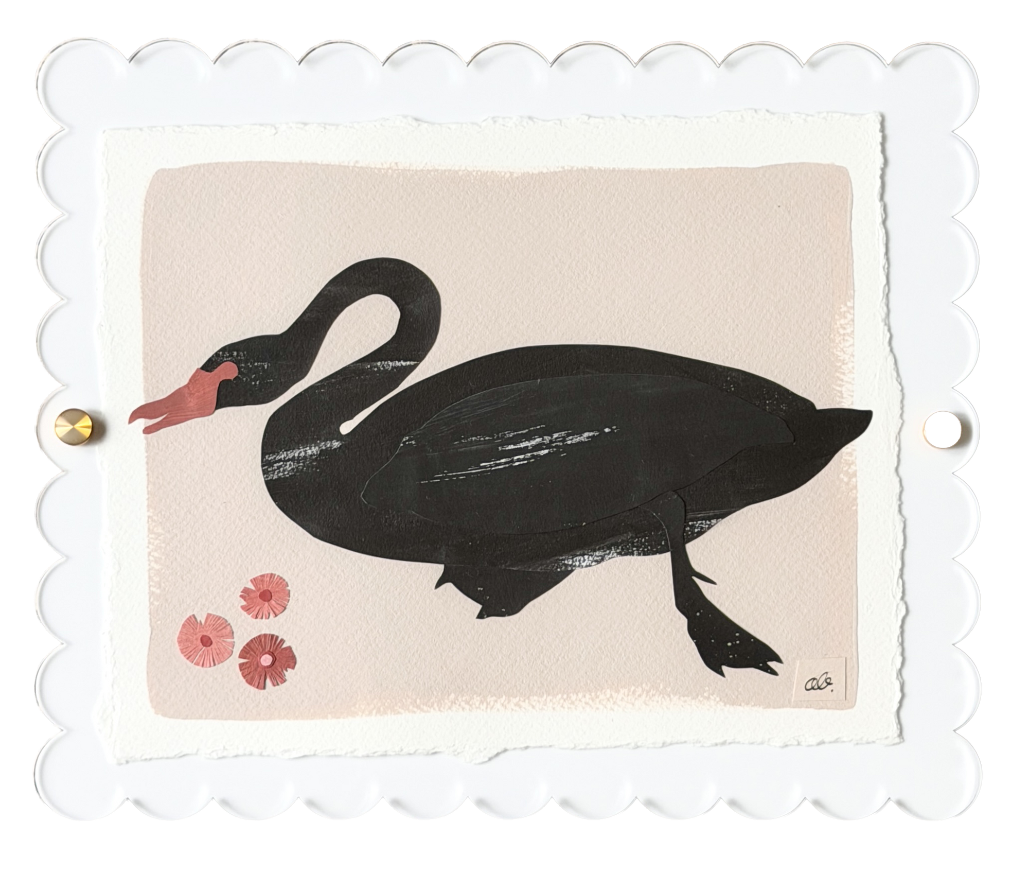 Black Swan on Pink