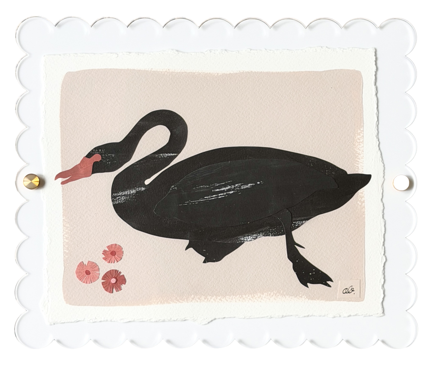 Black Swan on Pink