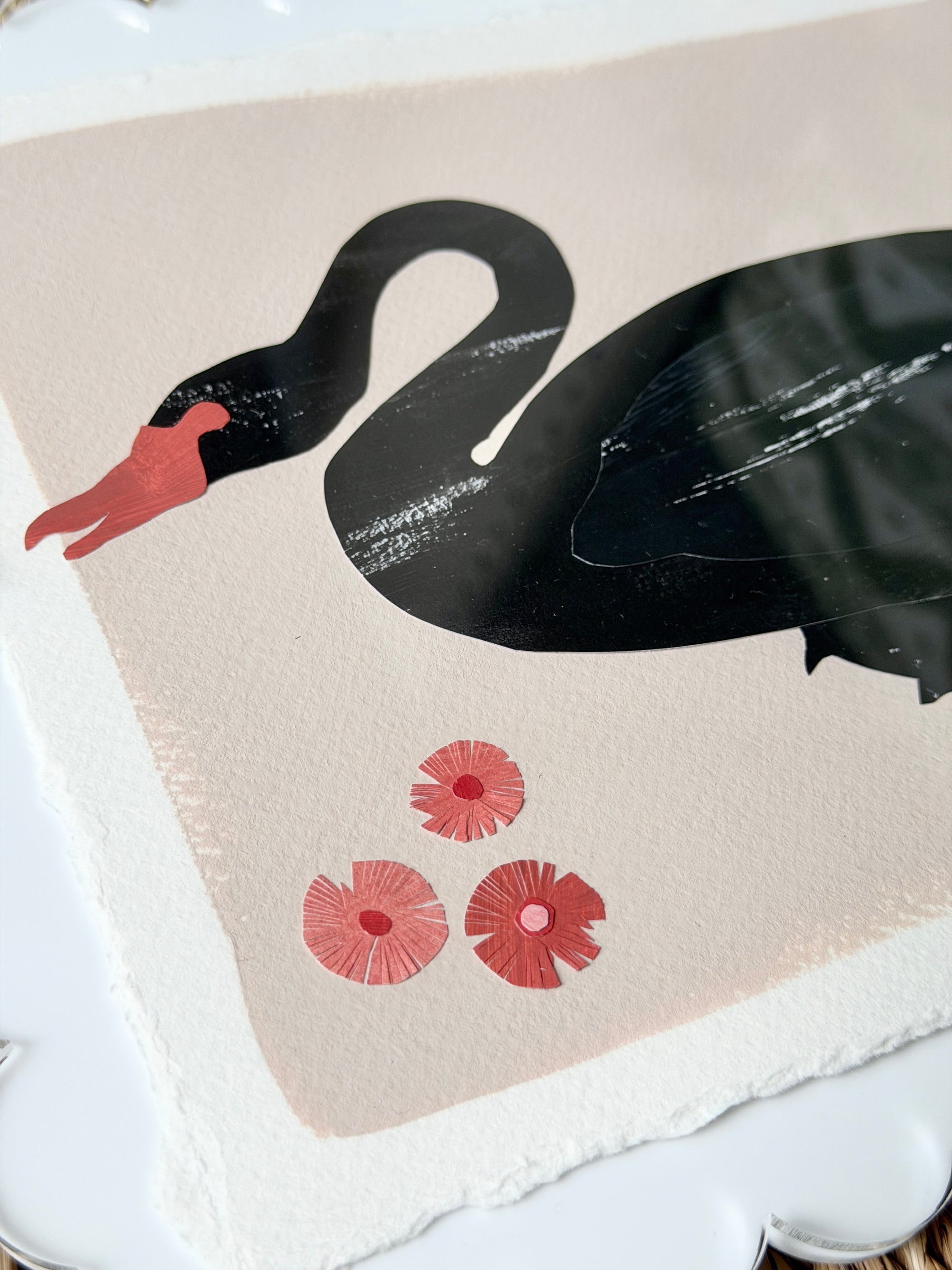 Black Swan on Pink