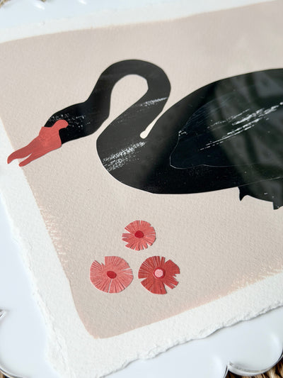 Black Swan on Pink