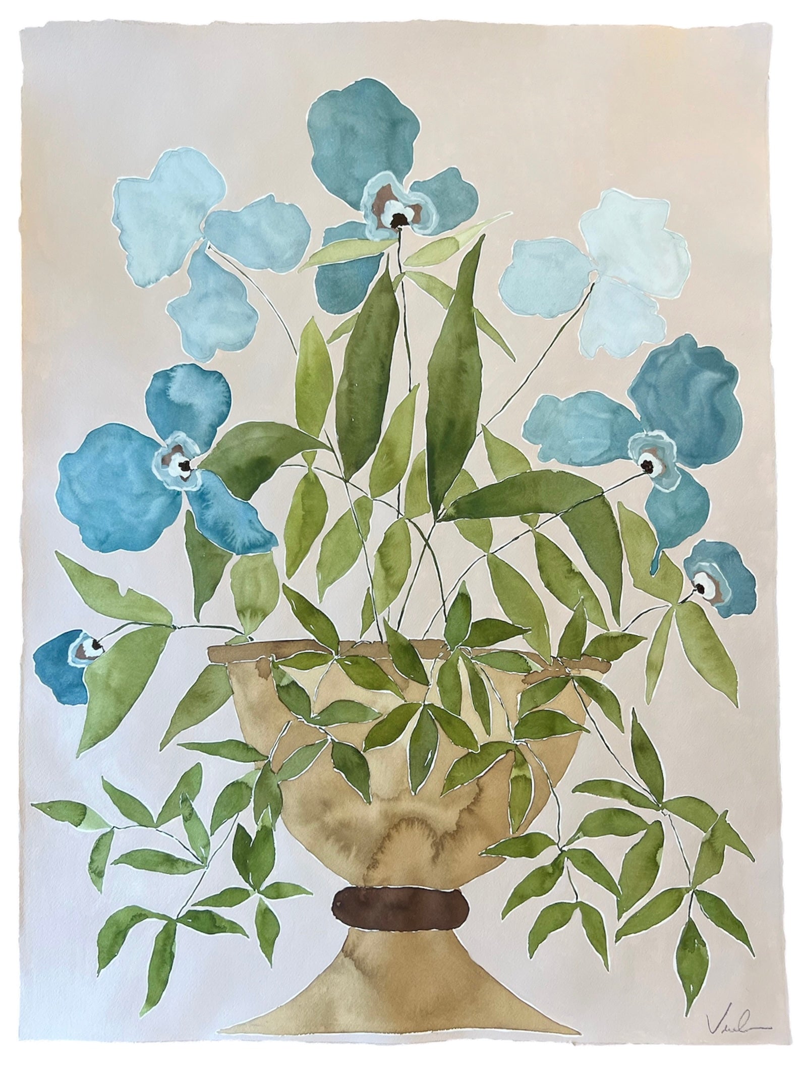 Blue Iris on Blush