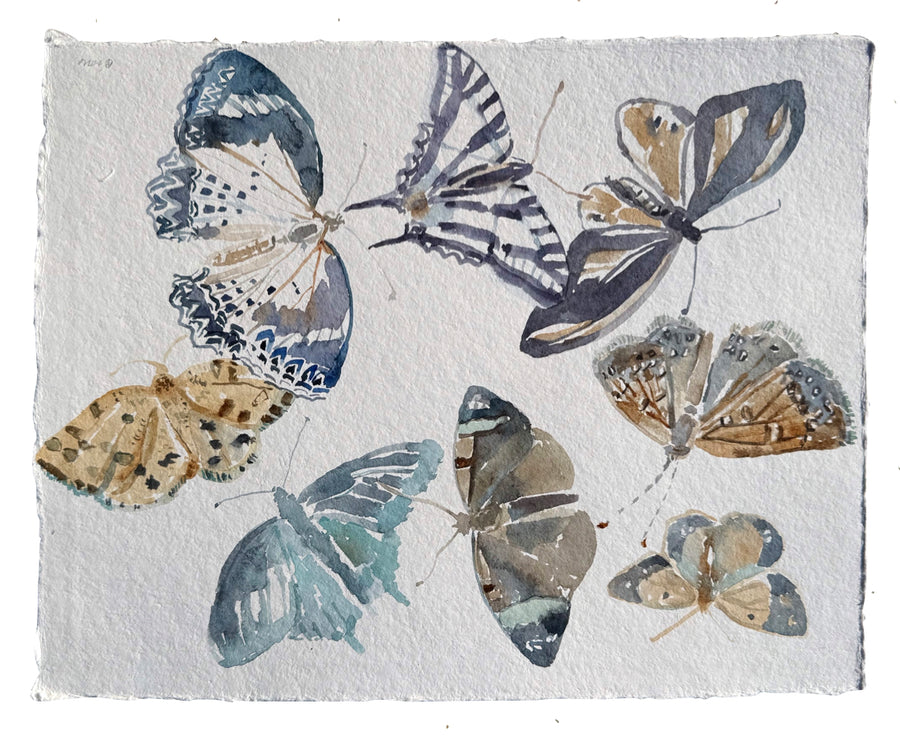 Blue and Brown Flight Patterns 2