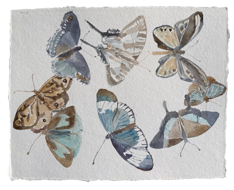 Blue and Brown Flight Pattern