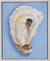 Bluebell Oyster