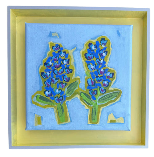 Bluebonnets