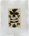 Botanical III