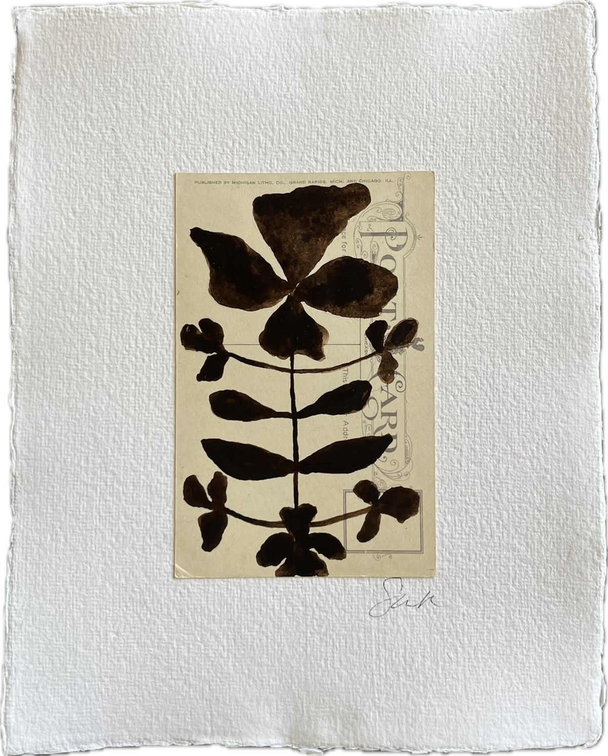 Botanical III