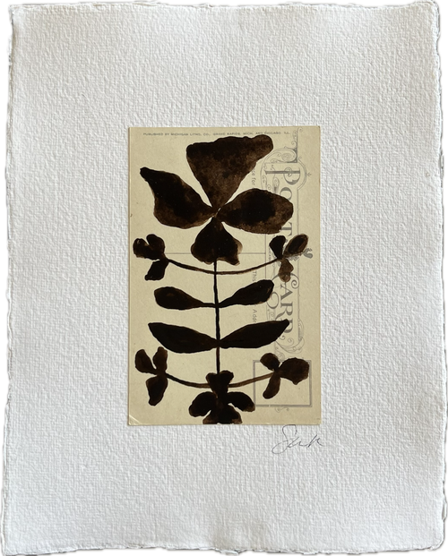 Botanical III