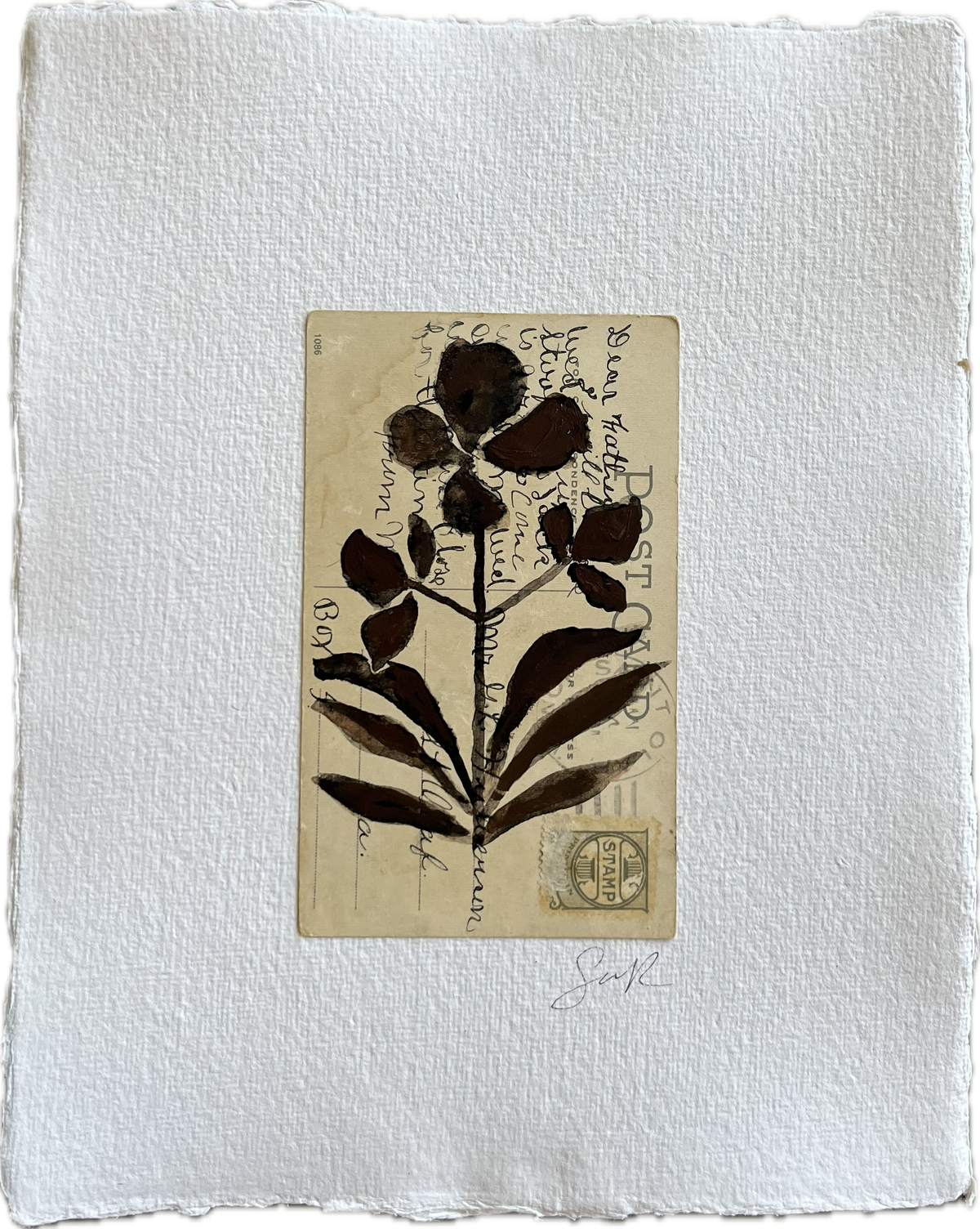 Botanical II