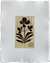 Botanical II
