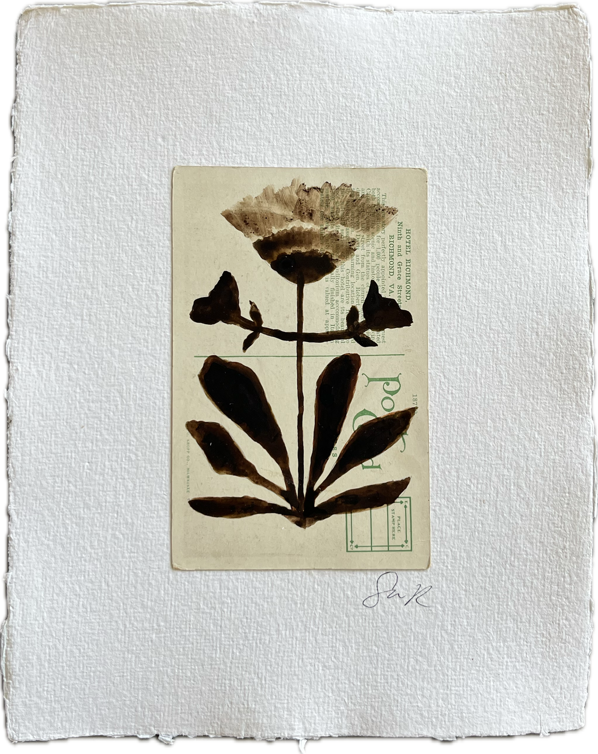 Botanical IV