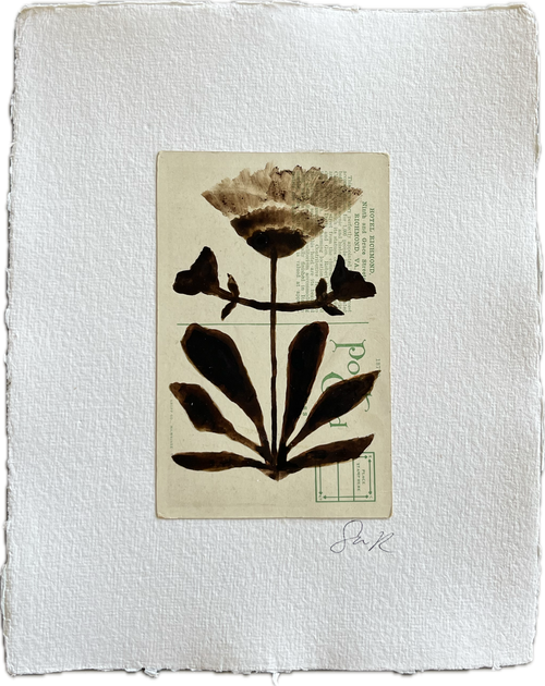 Botanical IV