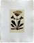 Botanical IV
