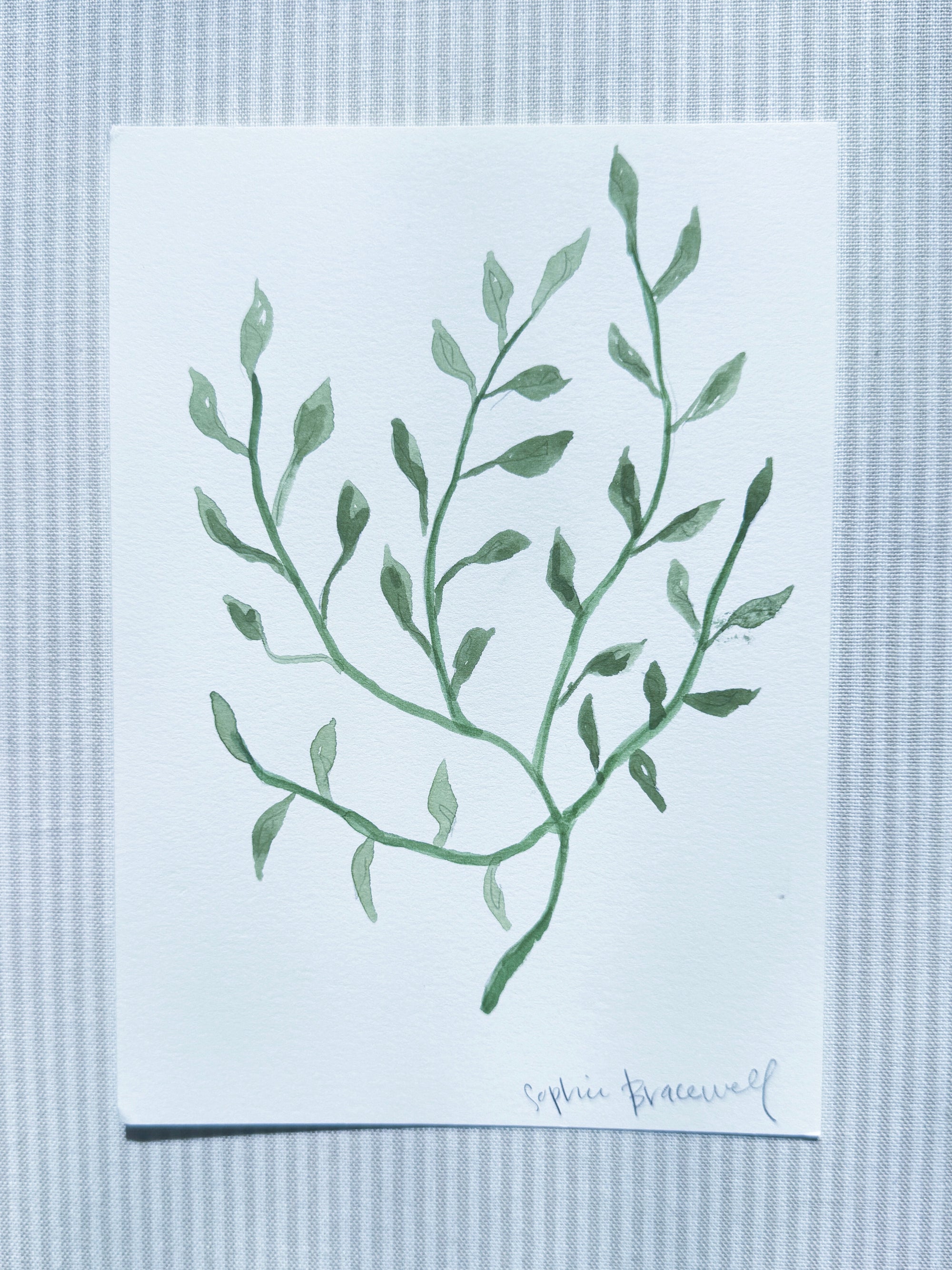 Botanical Study in Green II