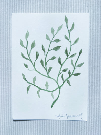 Botanical Study in Green II