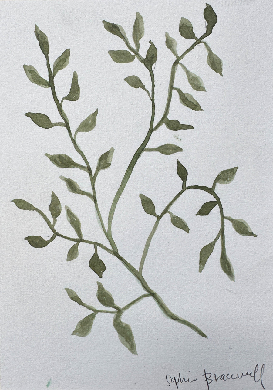 Botanical Study in Green