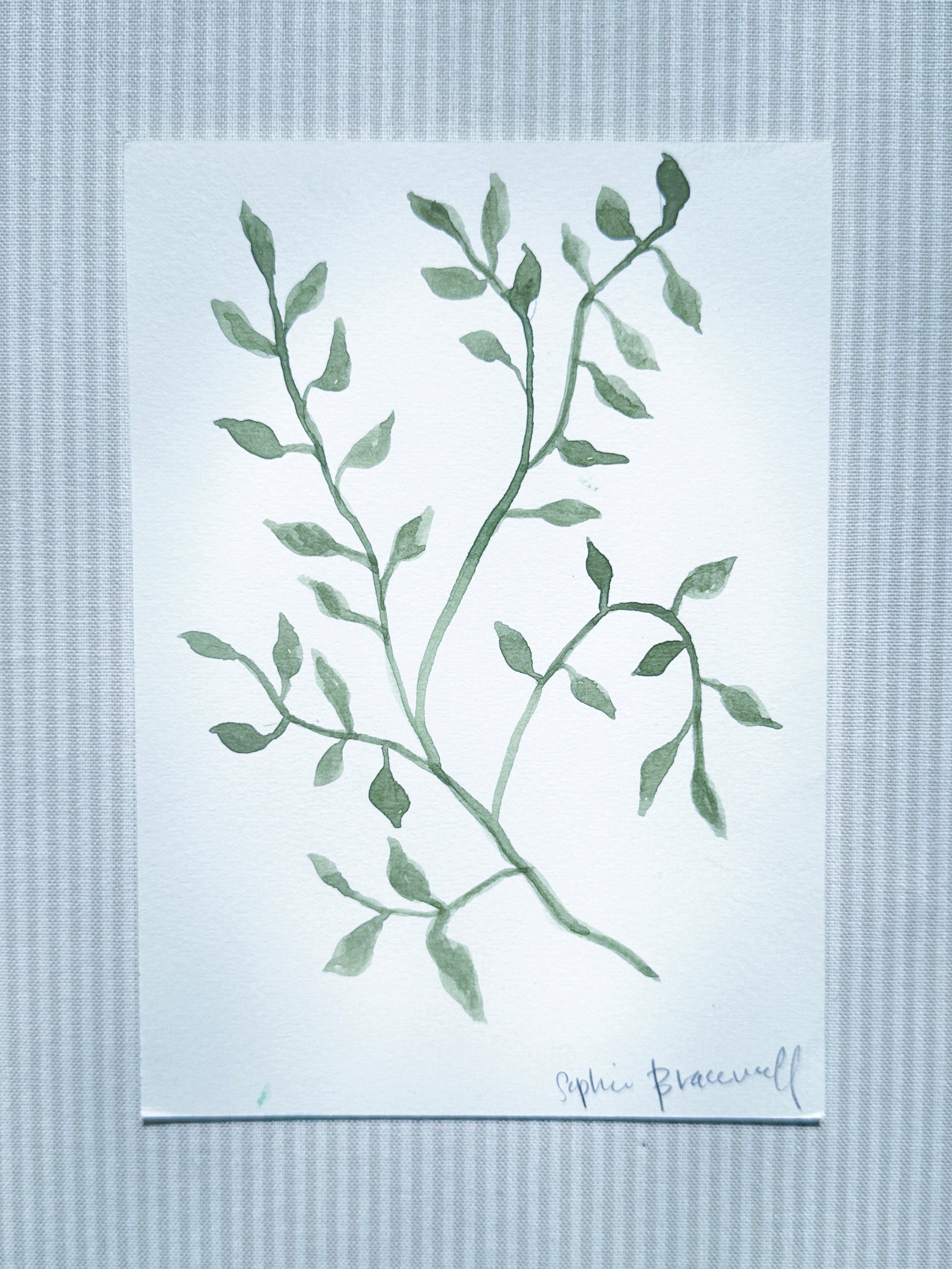 Botanical Study in Green