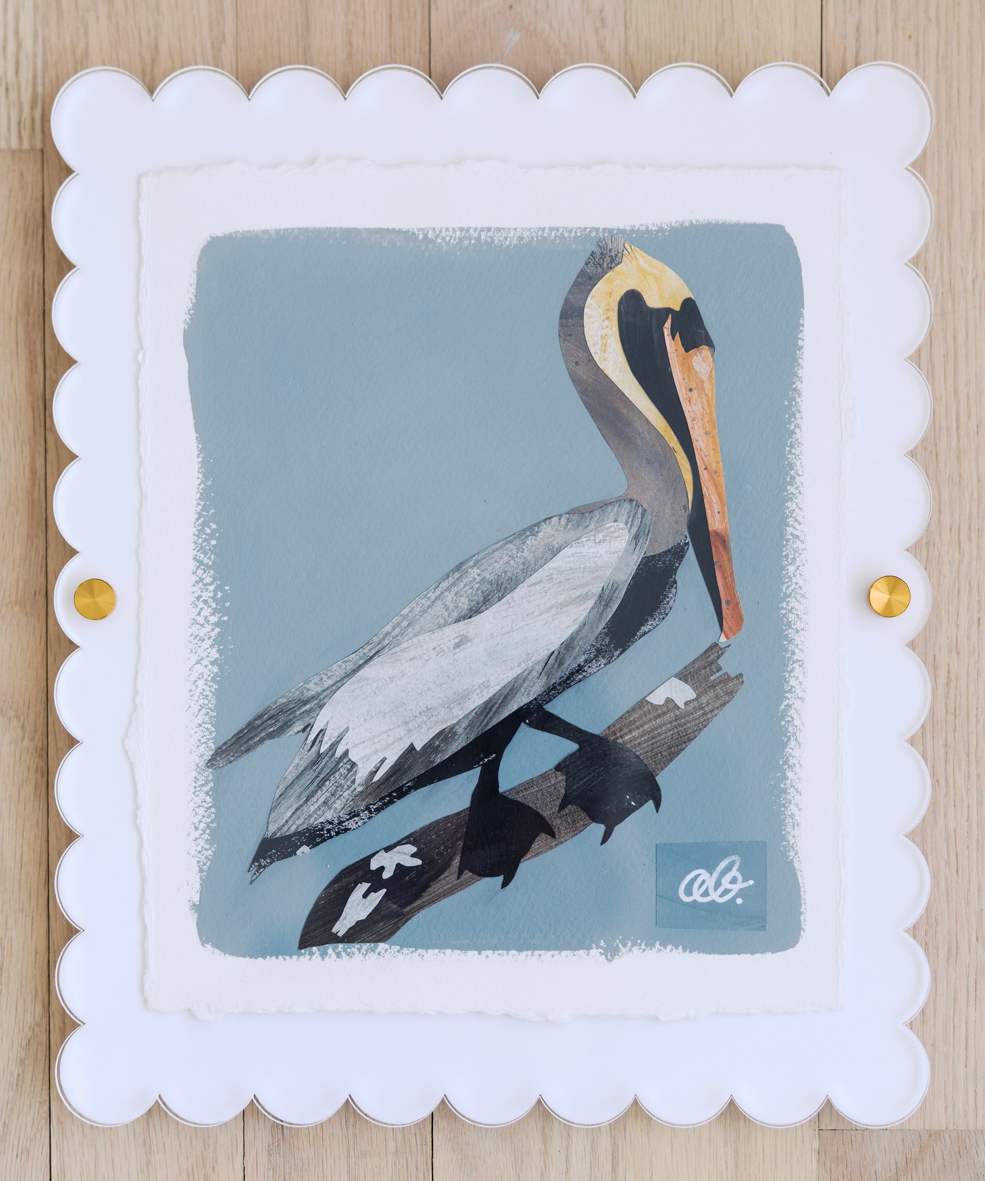 Brown Pelican on Blue