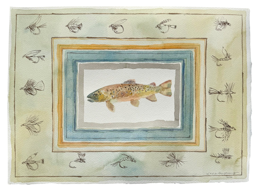 Brown Trout