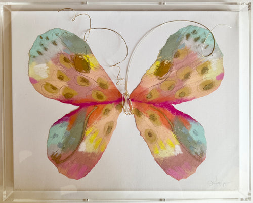 Butterfly Taxidermy 10