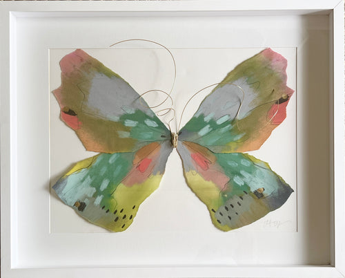 Butterfly Taxidermy 21
