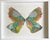 Butterfly Taxidermy 21