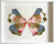 Butterfly Taxidermy 22