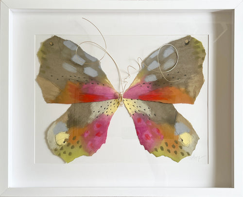 Butterfly Taxidermy 23