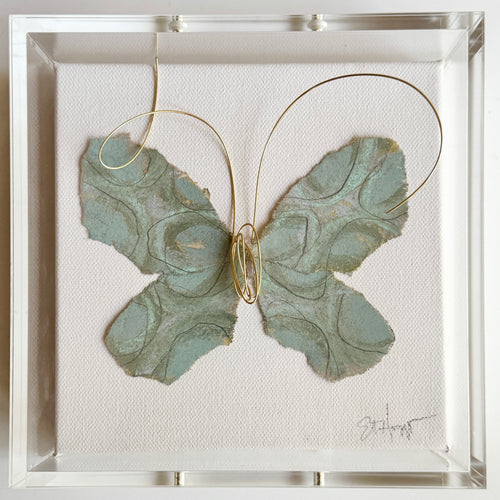 Butterfly Taxidermy 27