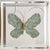 Butterfly Taxidermy 27