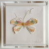 Butterfly Taxidermy 28