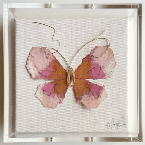 Butterfly Taxidermy 29