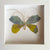 Butterfly Taxidermy 2