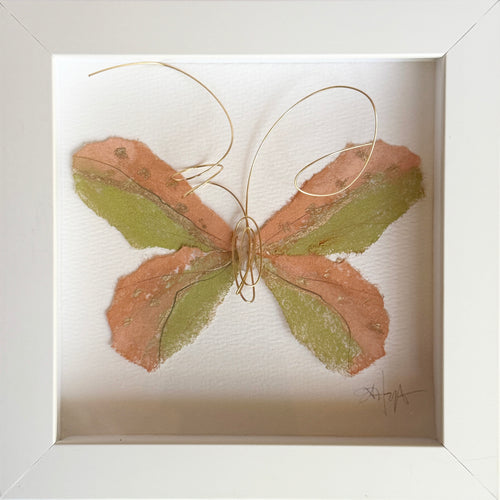 Butterfly Taxidermy 3