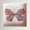 Butterfly Taxidermy 4