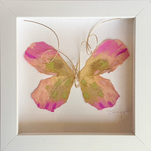 Butterfly Taxidermy 5