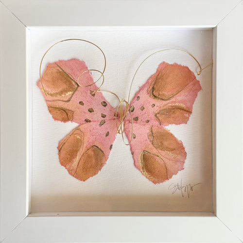 Butterfly Taxidermy 6