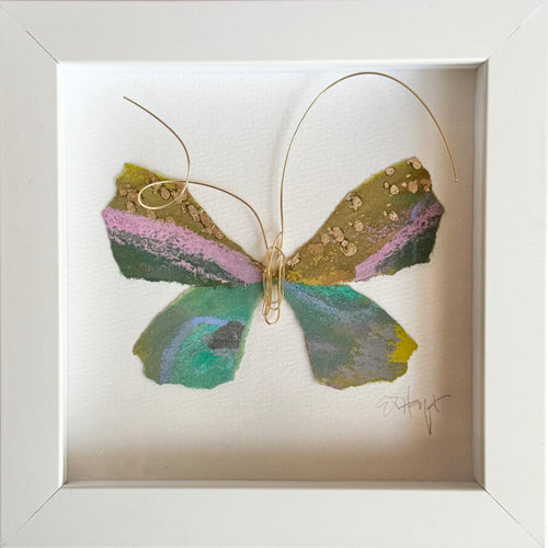 Butterfly Taxidermy 8