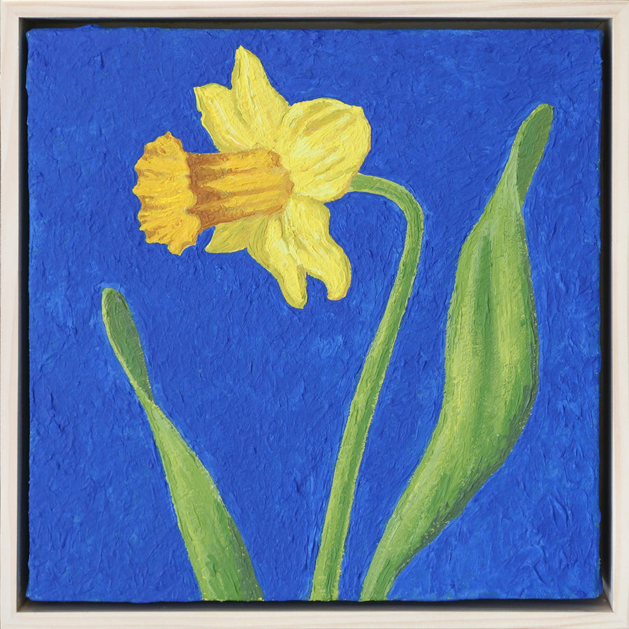 Cobalt Daffodil