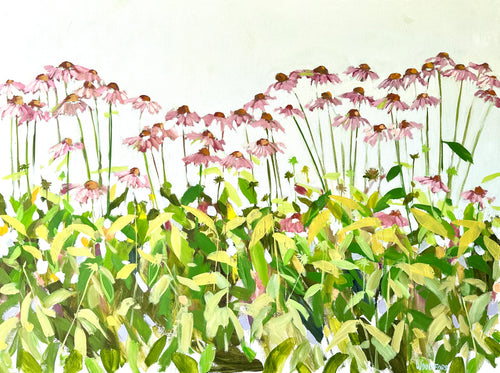 Coneflower Show