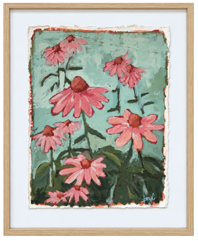 Coral Craze Coneflower