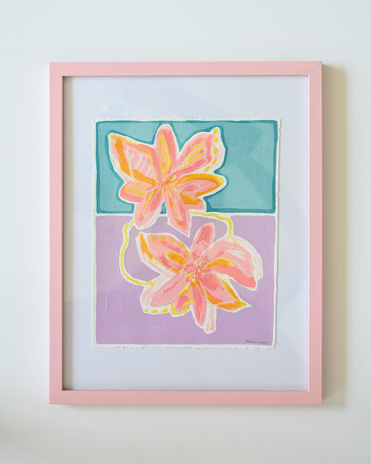Coral Lillies