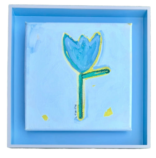 Cornflower Tulip