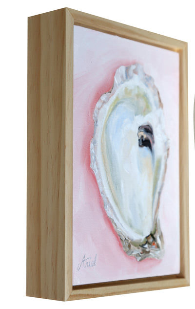 Cotton Candy Oyster